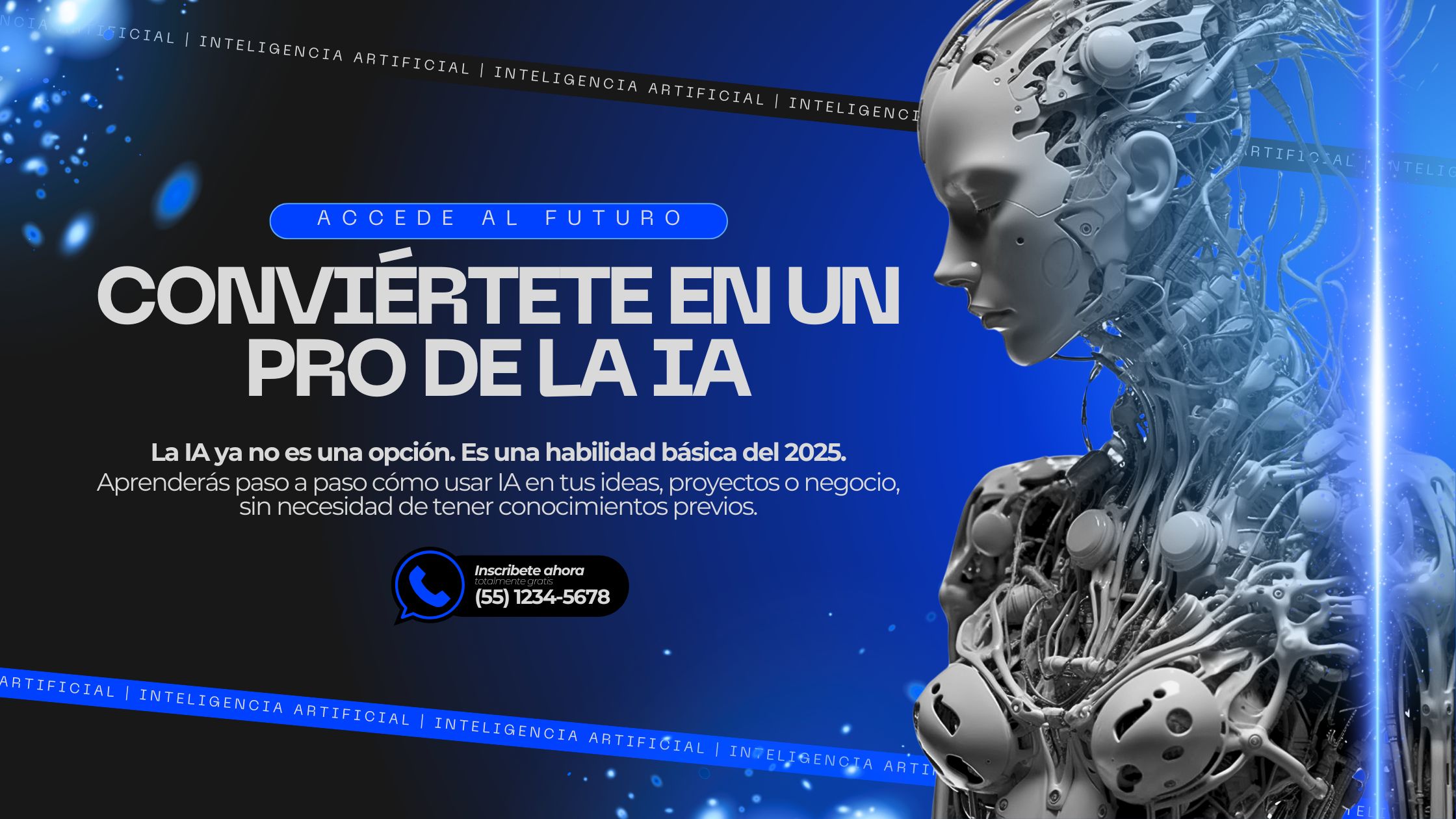 Rendicion de cuentas 2024